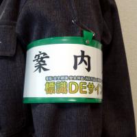 記入式腕章　緑　　ビニール製　90×400㎜