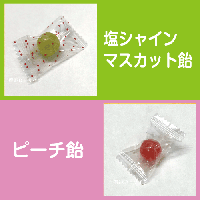 飴四光Ⅱ2025　熱中症対策　塩飴　約670g　約200ヶ