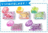 塩タブレット5兄弟(袋入り)　1袋500g約185粒