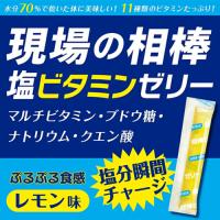 現場の相棒 塩ビタミンゼリー 1kgボトルタイプ　100本入