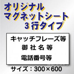 オリジナルマグネット　3行タイプ 300×600mmサイズ